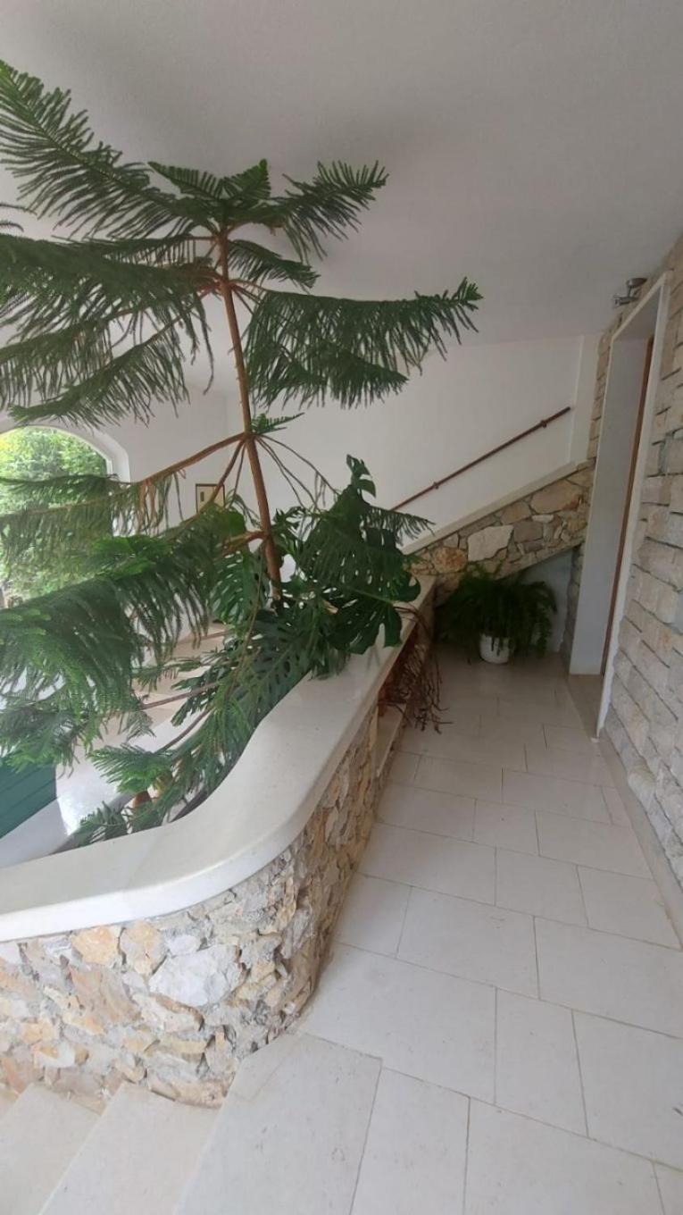 Apartment Brane Bol Buitenkant foto