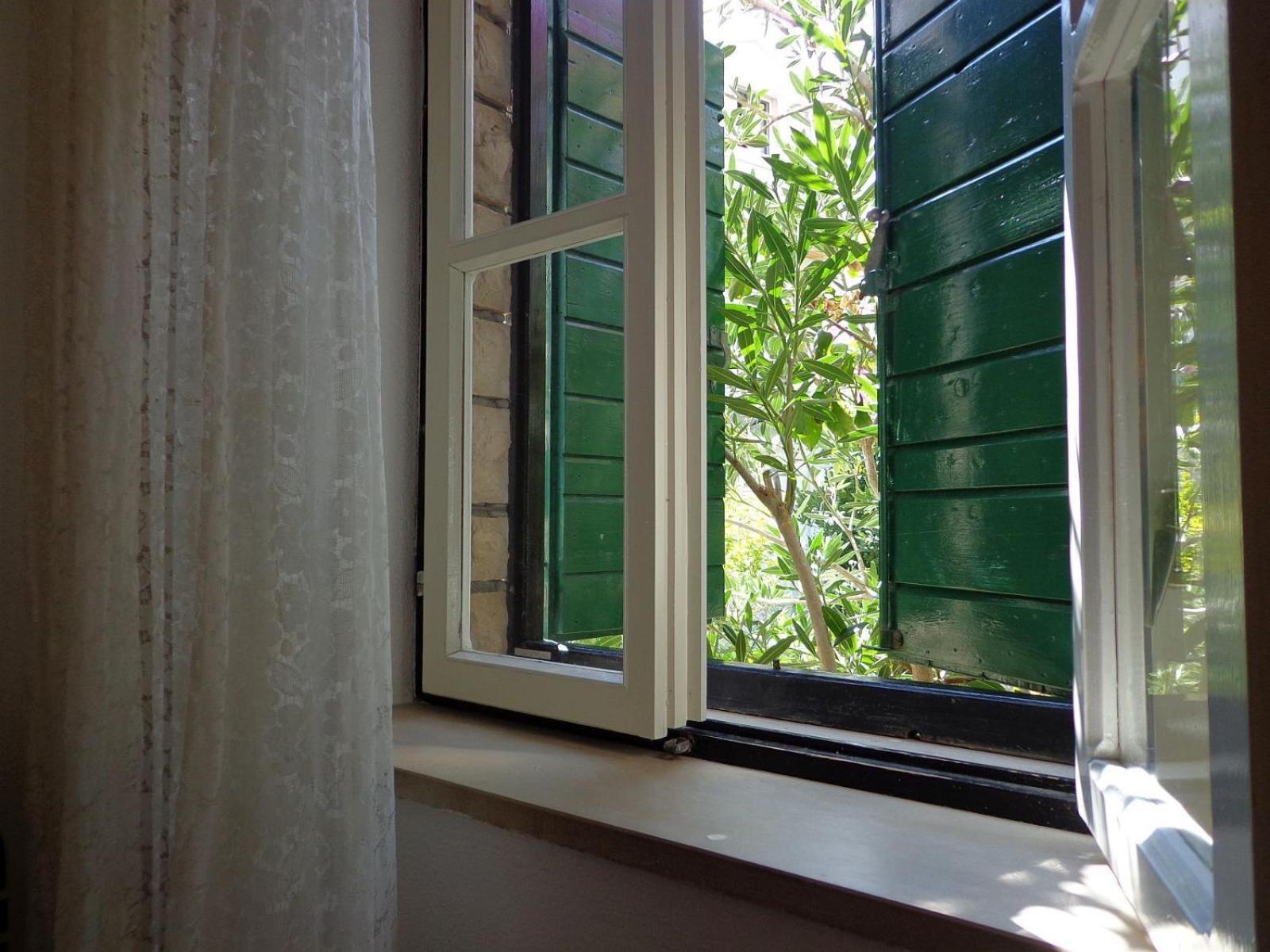 Apartment Brane Bol Buitenkant foto